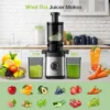 Teendow Cold Press Juicer Machine, High Juice Yield, Whole Fruit & Vegetable Extractor, BPA-Free, Slow Masticating Juicer