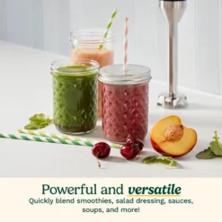 Cuisinart CSB-179 Smart Stick Variable Speed Hand Blender Stainless Steel